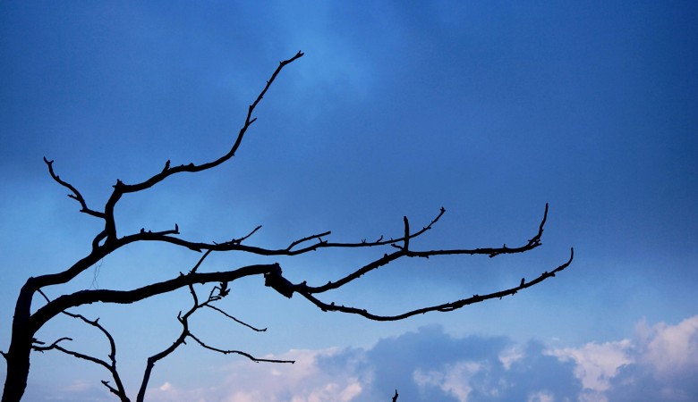 Mezhepler Sadece İslam’da mı Var? -1-